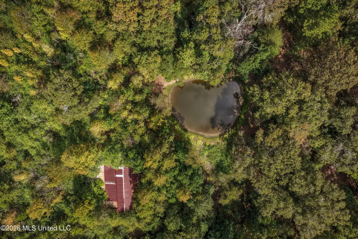 Allen Lane, Magnolia, MS 39652 - #1