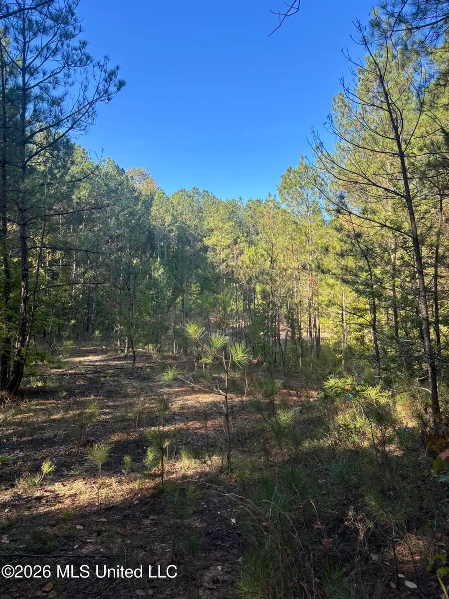 N Hwy 25, Louisville, MS 39339 - #2