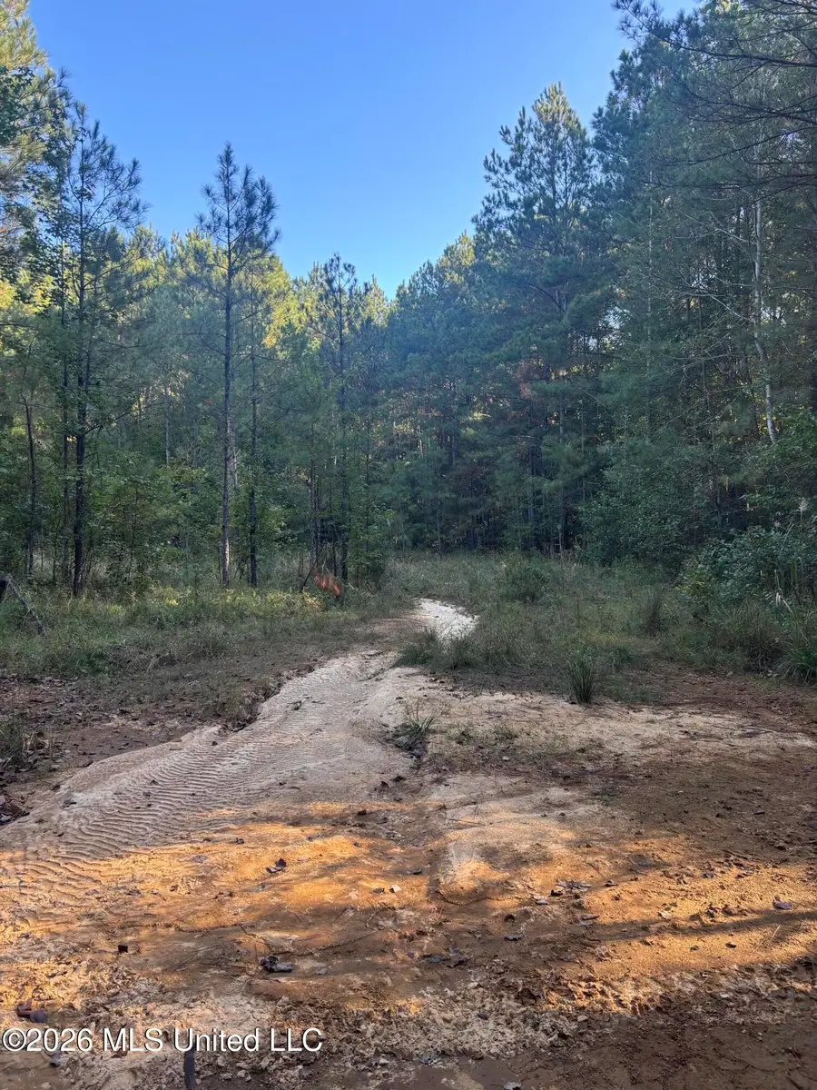 N Hwy 25, Louisville, MS 39339 - #3
