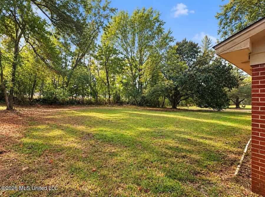 102 Lady Catherine Road, Pelahatchie, MS 39145 - #3