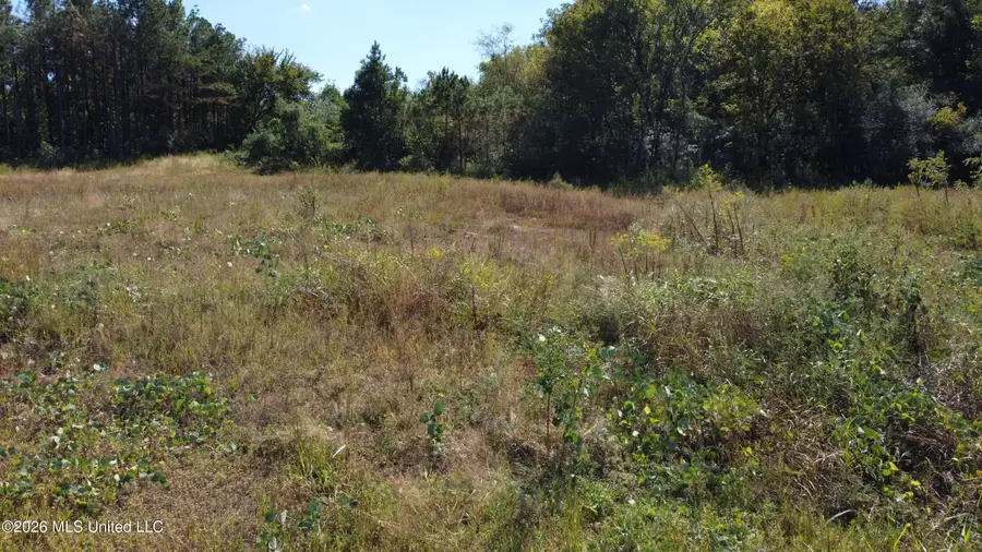 Salem Avenue, Holly Springs, MS 38635 - #3
