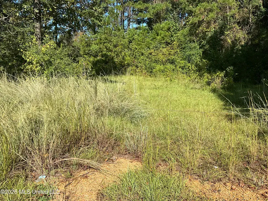Highway 24, Liberty, MS 39645 - #2