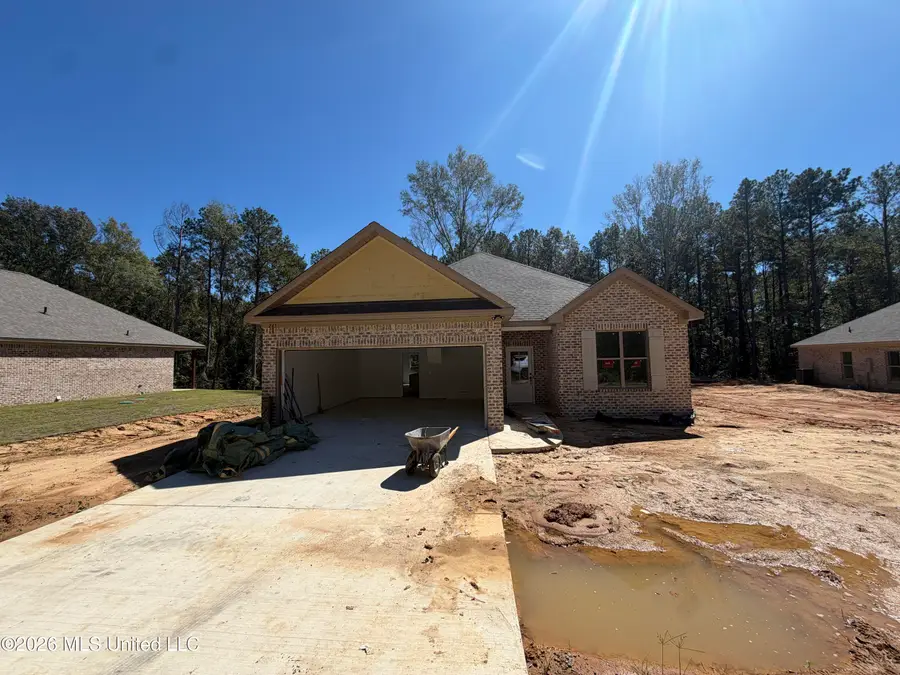 245 Smith Drive, Mendenhall, MS 39114 - #2