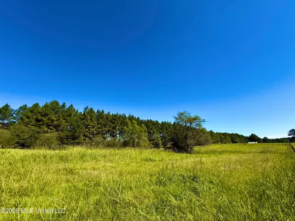 206 Barker Road, Morton, MS 39117