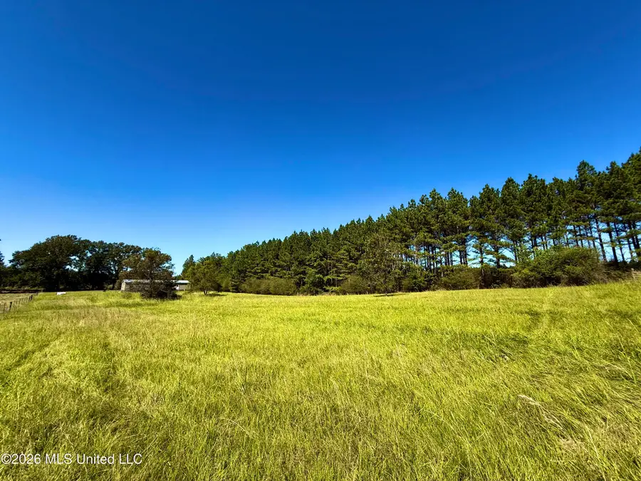 206 Barker Road, Morton, MS 39117 - #2