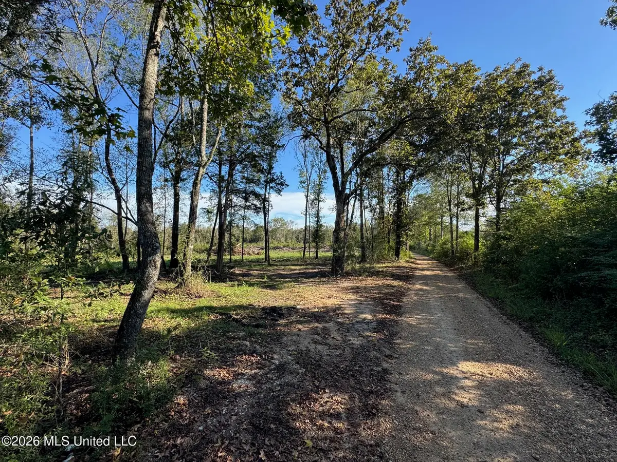 Xxx Emma Kelly Road, Magnolia, MS 39652 - #1