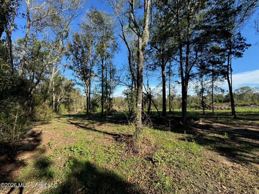 Xxx Emma Kelly Road, Magnolia, MS 39652 - #2