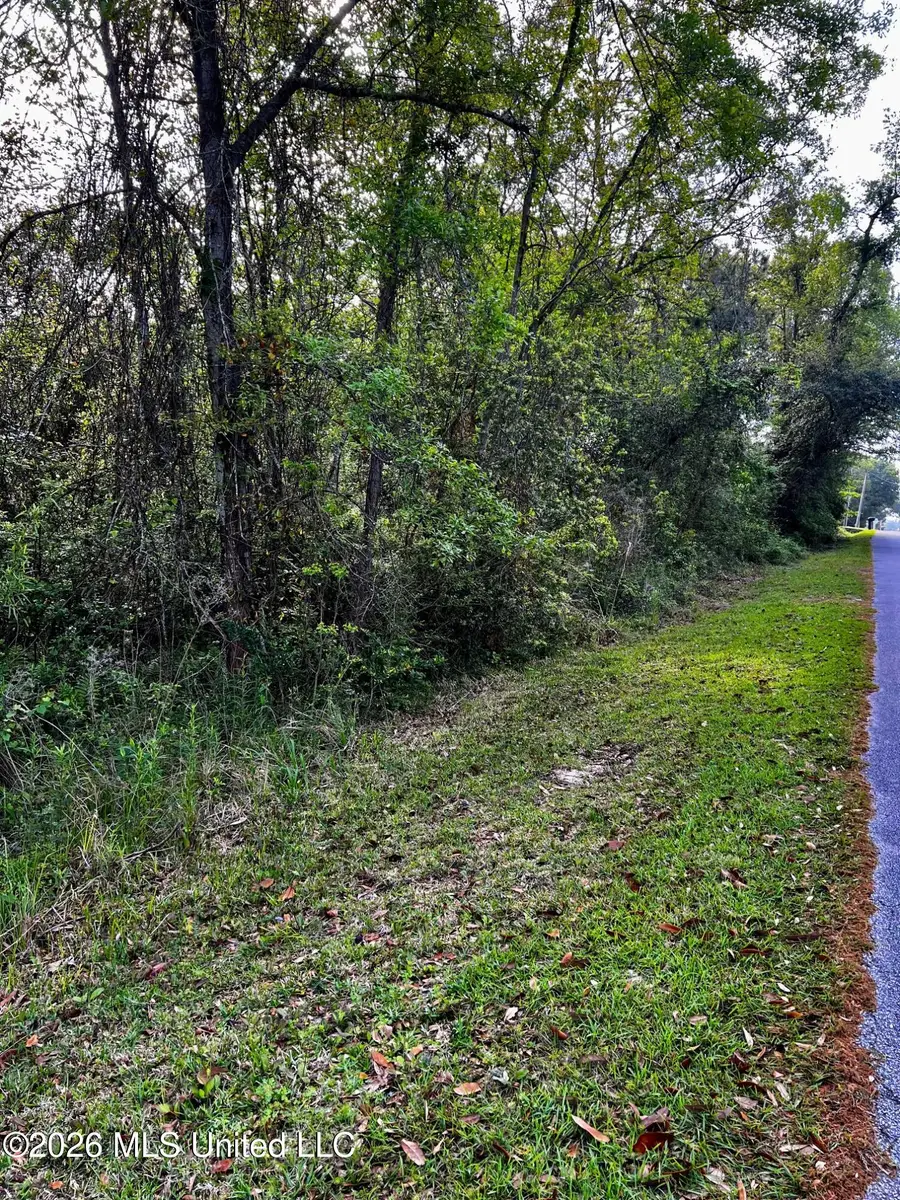 Pine Ridge Drive, Waveland, MS 39576 - #2