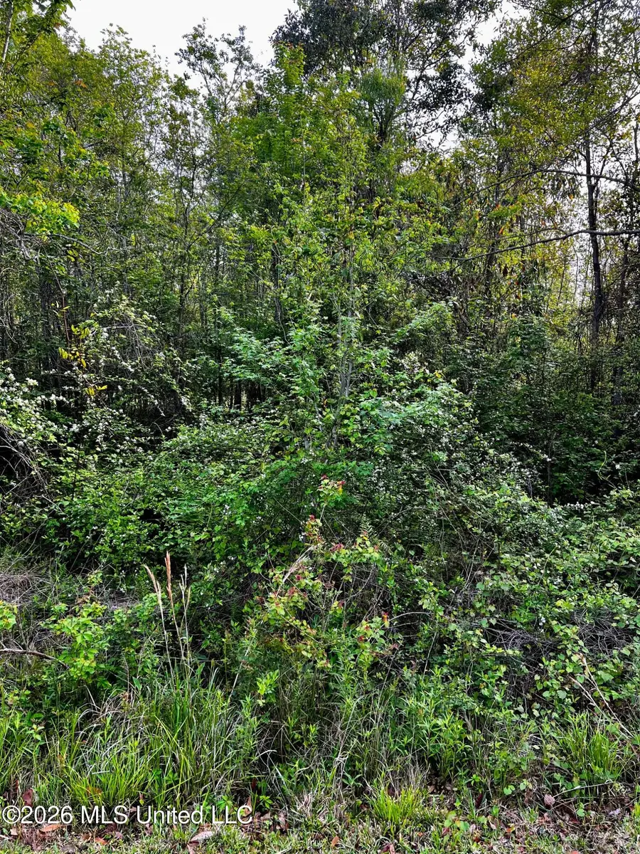 Pine Ridge Drive, Waveland, MS 39576 - #3