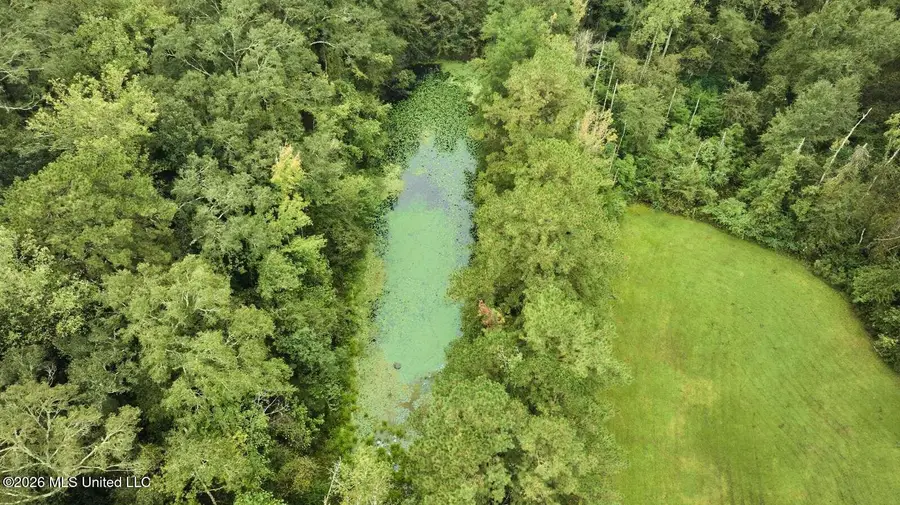 1004 Sunshine Mountain Lane, Magnolia, MS 39652 - #2