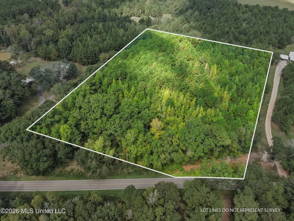 0000 Purvis To Baxterville Road, Purvis, MS 39475 - #1