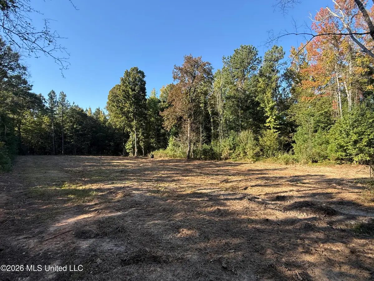 Bluff Springs Road, Ackerman, MS 39735 - #1