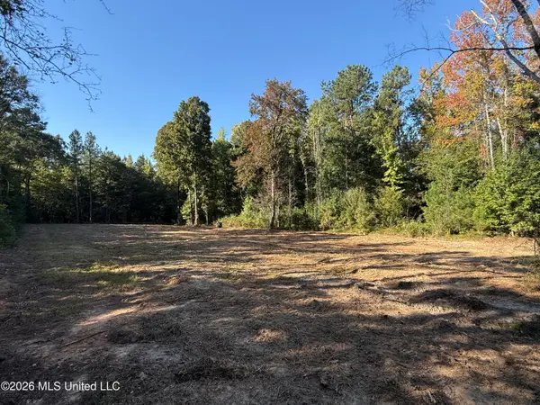 Bluff Springs Road, Ackerman, MS 39735