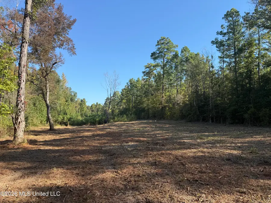 Bluff Springs Road, Ackerman, MS 39735 - #2