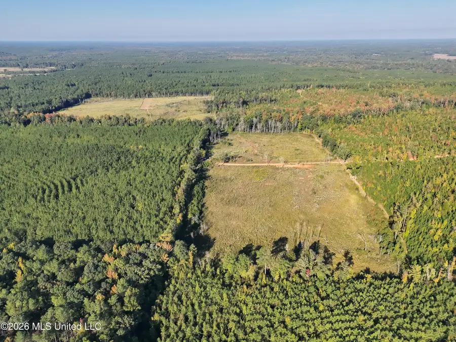 Bluff Springs Road, Ackerman, MS 39735 - #3