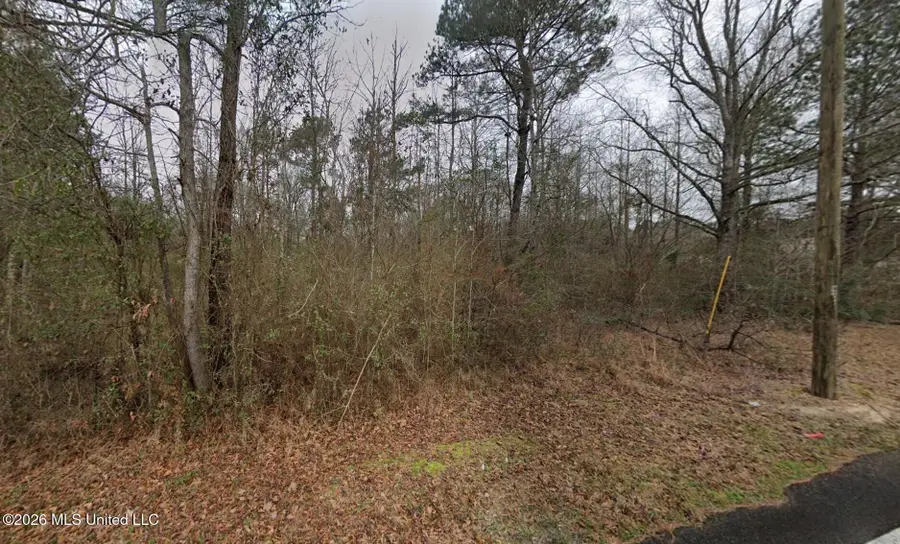 145 Whiddon Road, Purvis, MS 39475 - #2