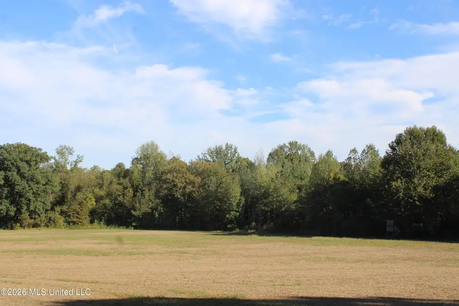 0 Old Hudsonville Road, Holly Springs, MS 38635 - #3