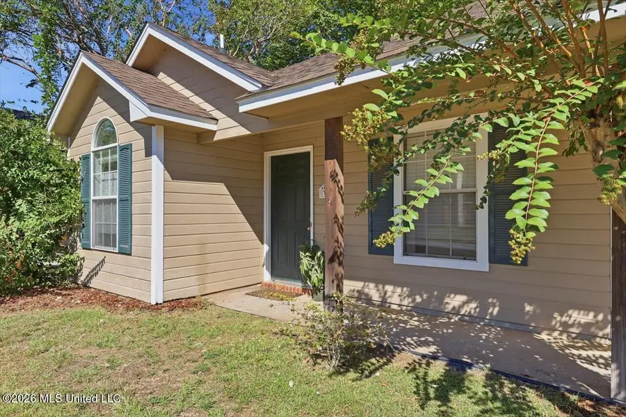 310 Audubon Circle, Brandon, MS 39047 - #3