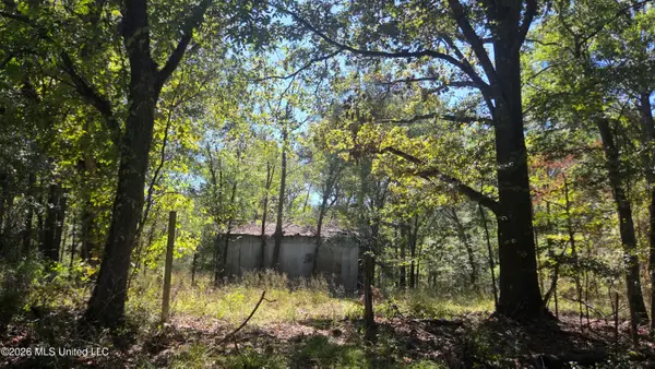 0 Bill Strong Road, Edwards, MS 39066