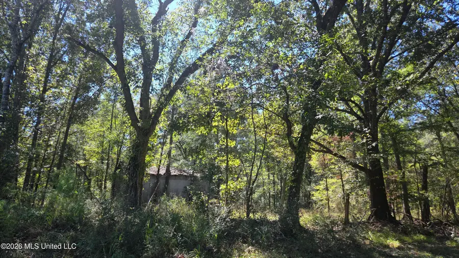 0 Bill Strong Road, Edwards, MS 39066 - #2