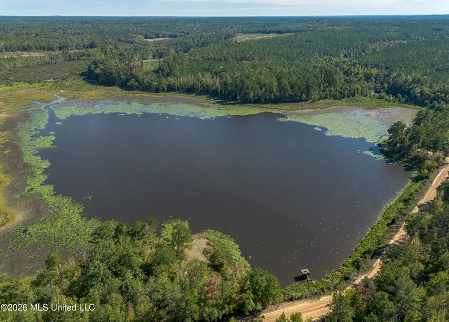 Lake Road, Duck Hill, MS 38925 - #2