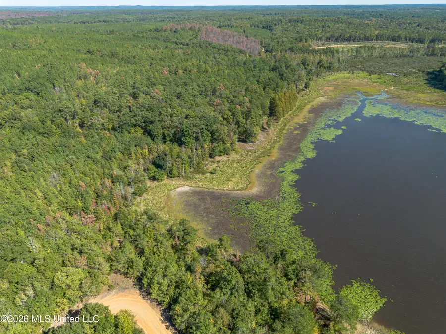 Lake Road, Duck Hill, MS 38925 - #3