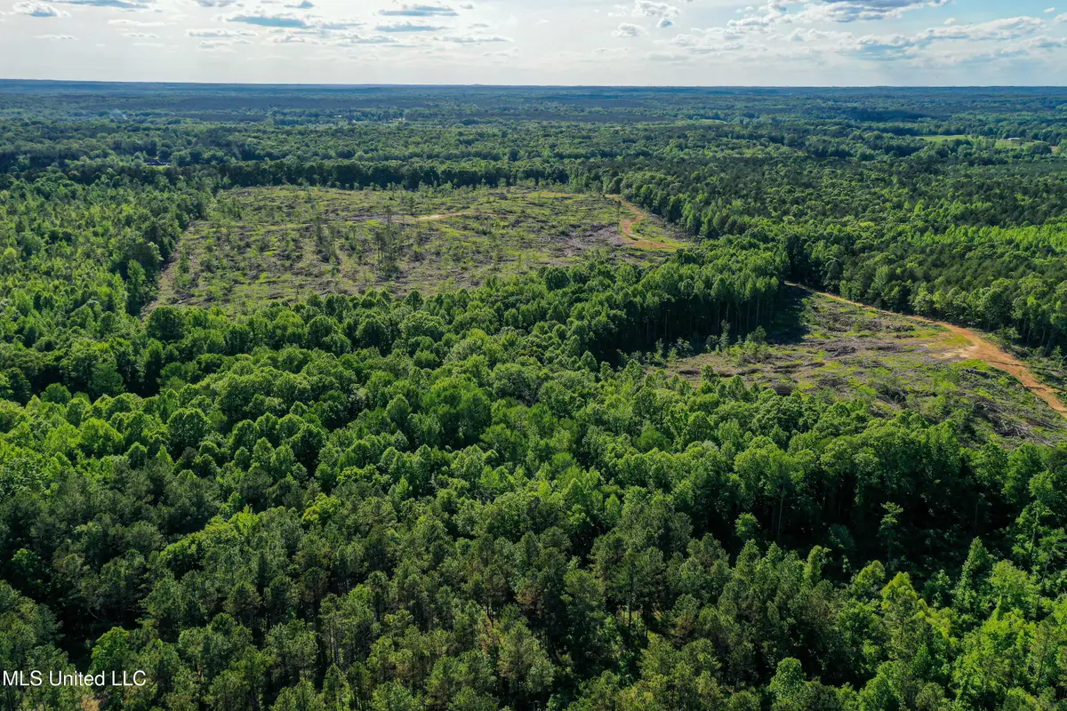 001 County Road 433, Thaxton, MS 38871 - #1