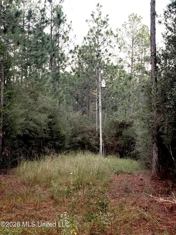 16512 Scotch Pine Drive, Vancleave, MS 39565