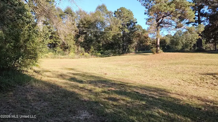 Birch Boulevard, Poplarville, MS 39470 - #2