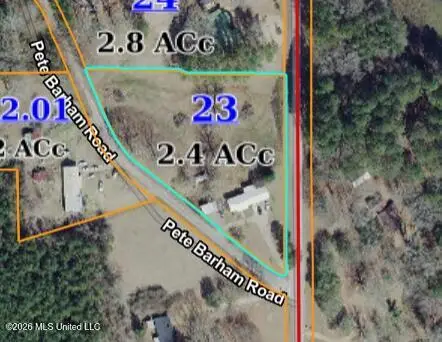 94 Pete Barham Road, Walnut Grove, MS 39189 - #1