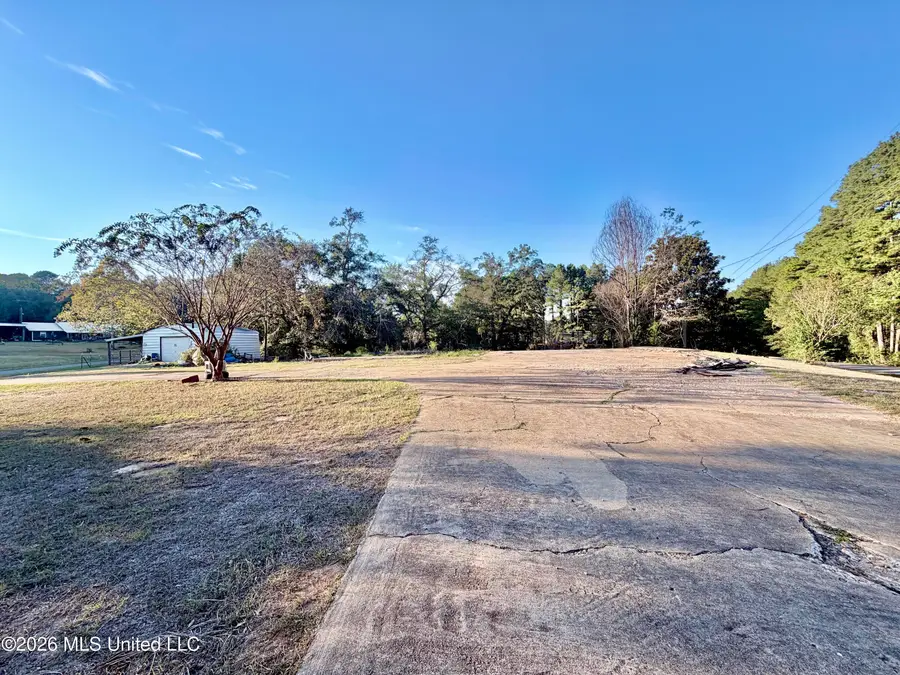 94 Pete Barham Road, Walnut Grove, MS 39189 - #2