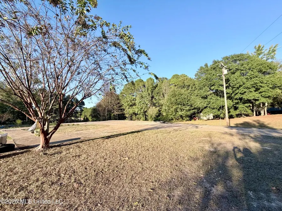 94 Pete Barham Road, Walnut Grove, MS 39189 - #3
