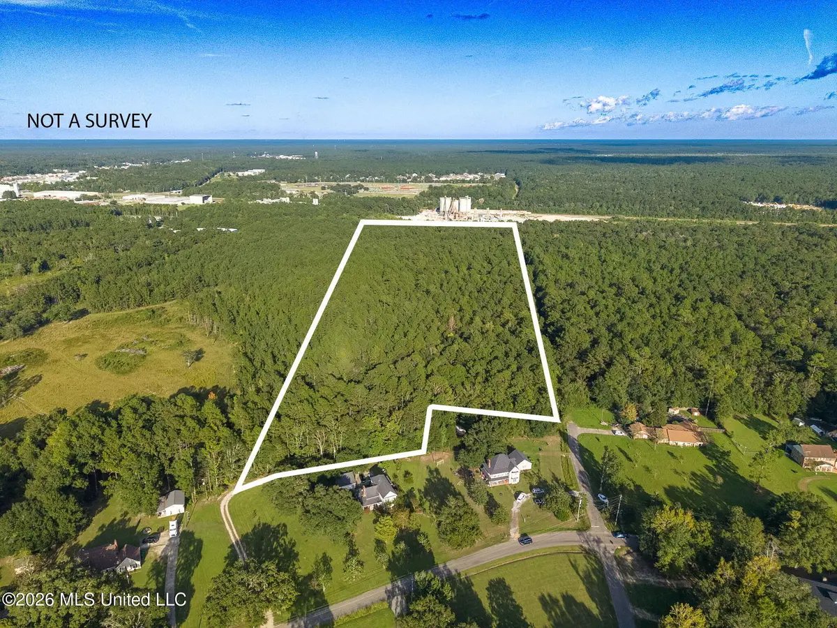 0 Williamsburg Rd Road, Picayune, MS 39466 - #1