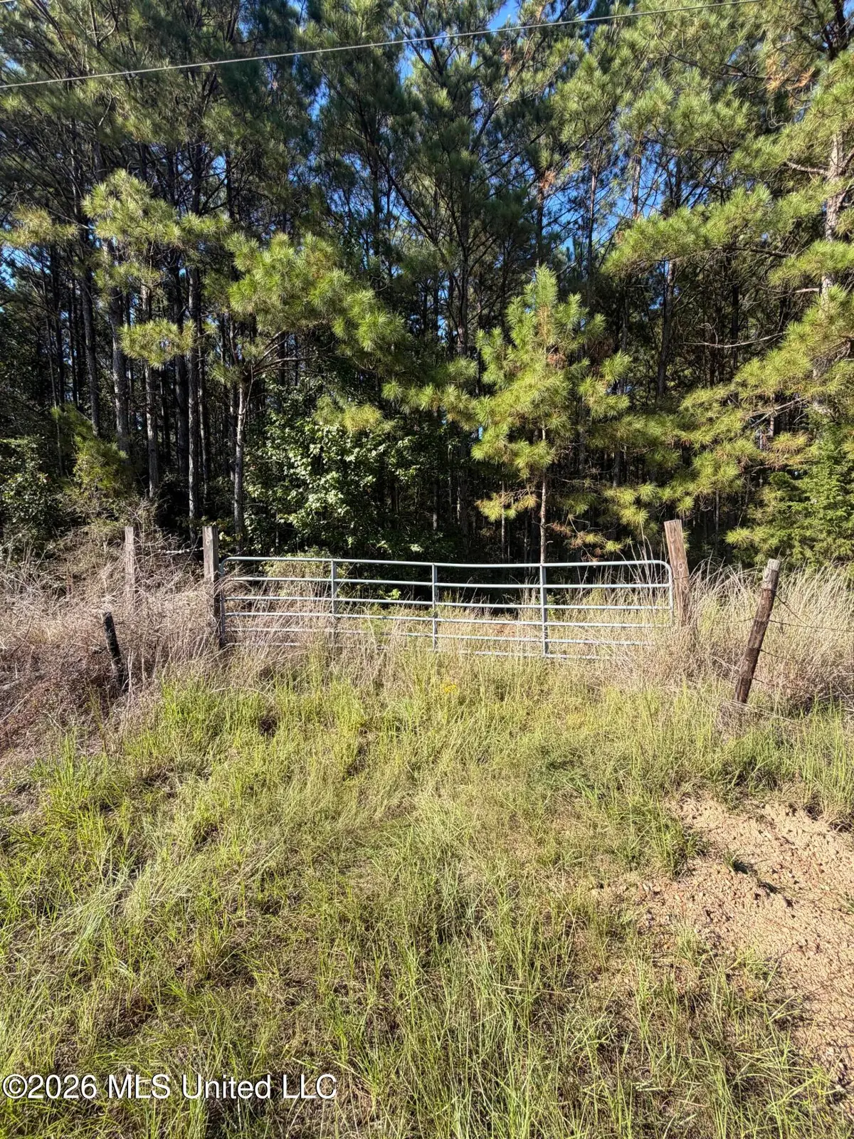 Coons Mill Road, Centreville, MS 39631 - #1