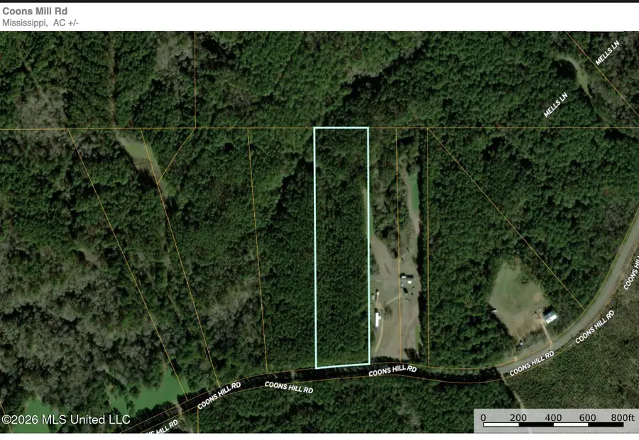 Coons Mill Road, Centreville, MS 39631 - #2