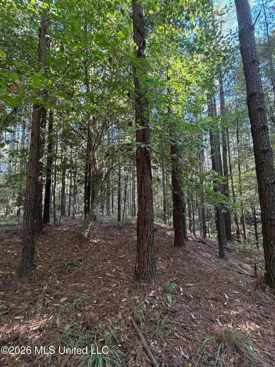 Coons Mill Road, Centreville, MS 39631 - #3