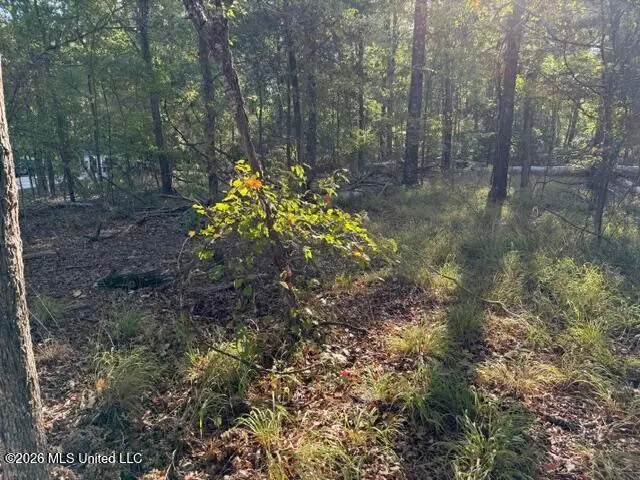 Old Fannin Road, Flowood, MS 39232 - #2
