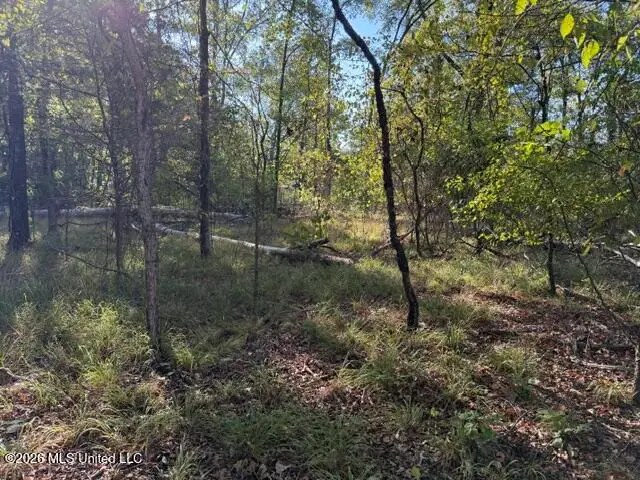 Old Fannin Road, Flowood, MS 39232 - #3
