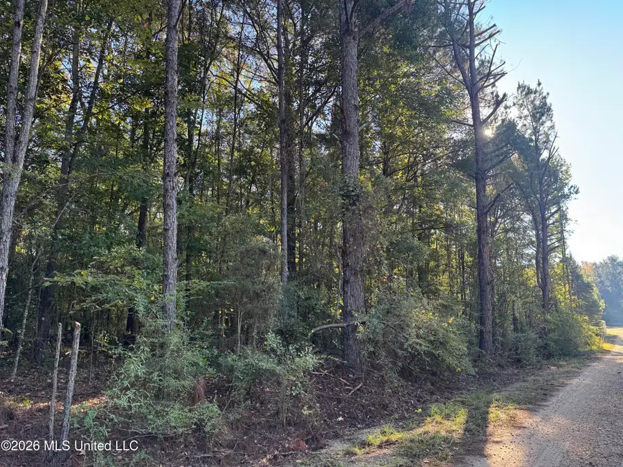 1020 Robert Jones Road, Summit, MS 39666 - #3