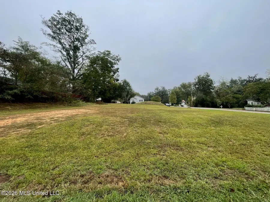 W Meiggs Street, Iuka, MS 38852 - #2