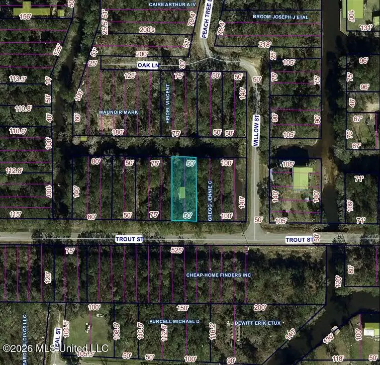 Trout Street, Bay Saint Louis, MS 39520 - #1