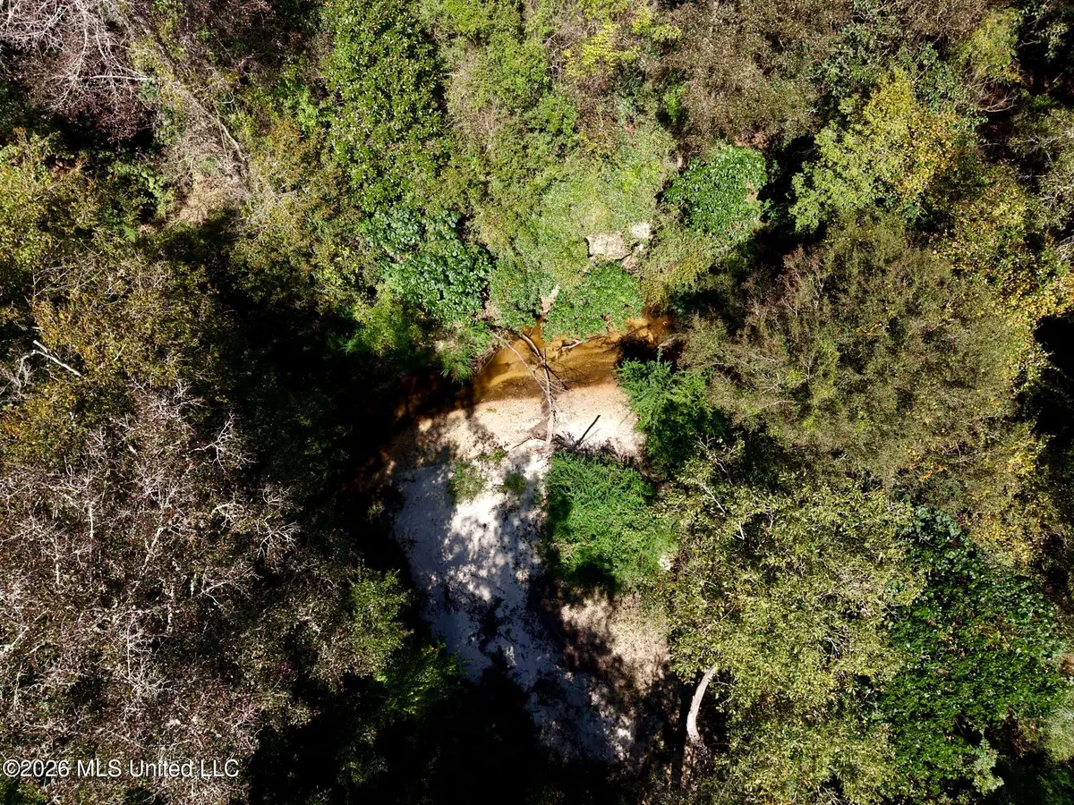 21.79 Acre Homer Ladner Road, Poplarville, MS 39470 - #1