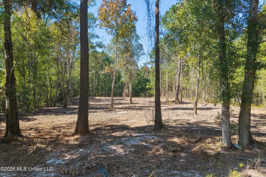 0 Freddie Frank, Long Beach, MS 39560 - #3