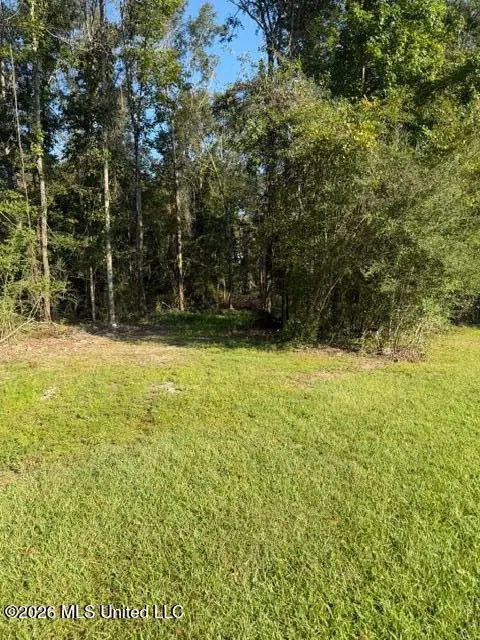 000 NW Patterson Road, Ruth, MS 39662