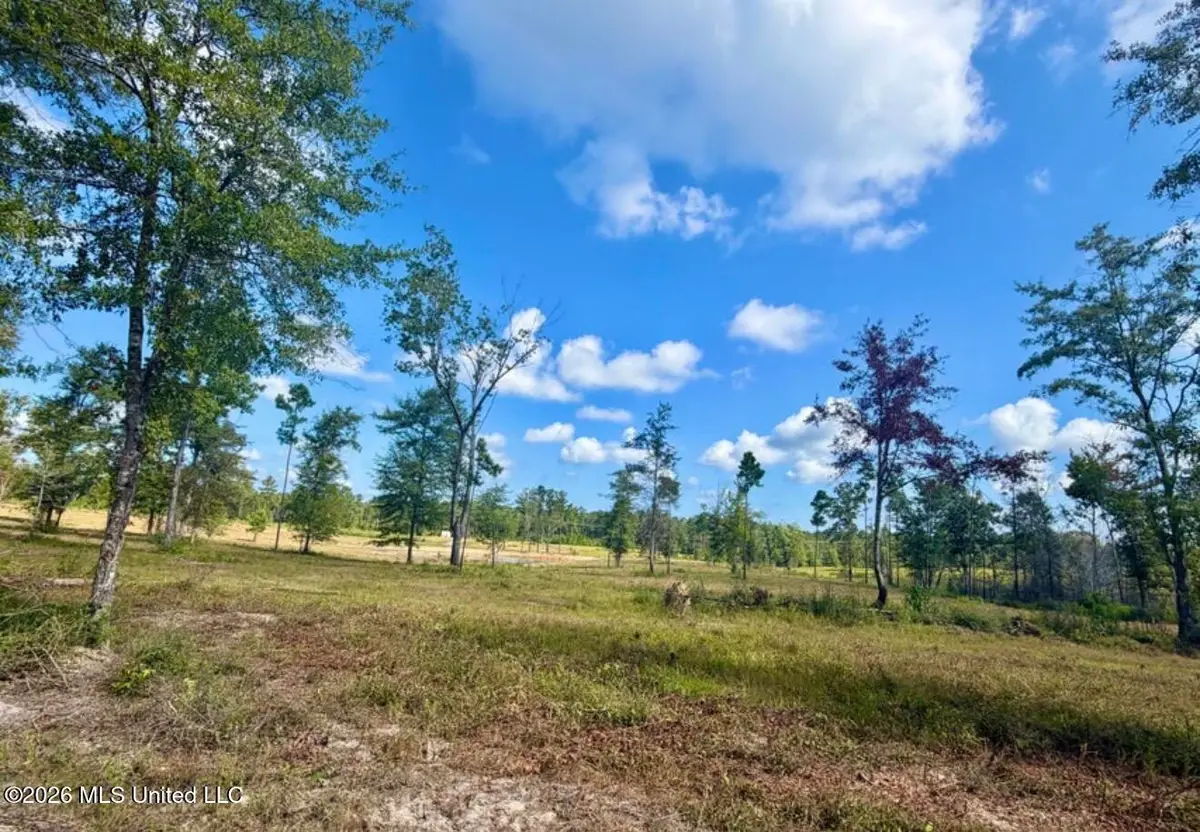 10.66 +/- Ac Industrial Park Road, Leakesville, MS 39451 - #1