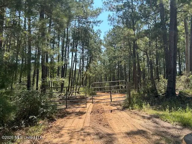 0 Charlie Rhodus Road, Magnolia, MS 39652 - #1