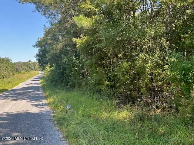 0 Charlie Rhodus Road, Magnolia, MS 39652 - #2