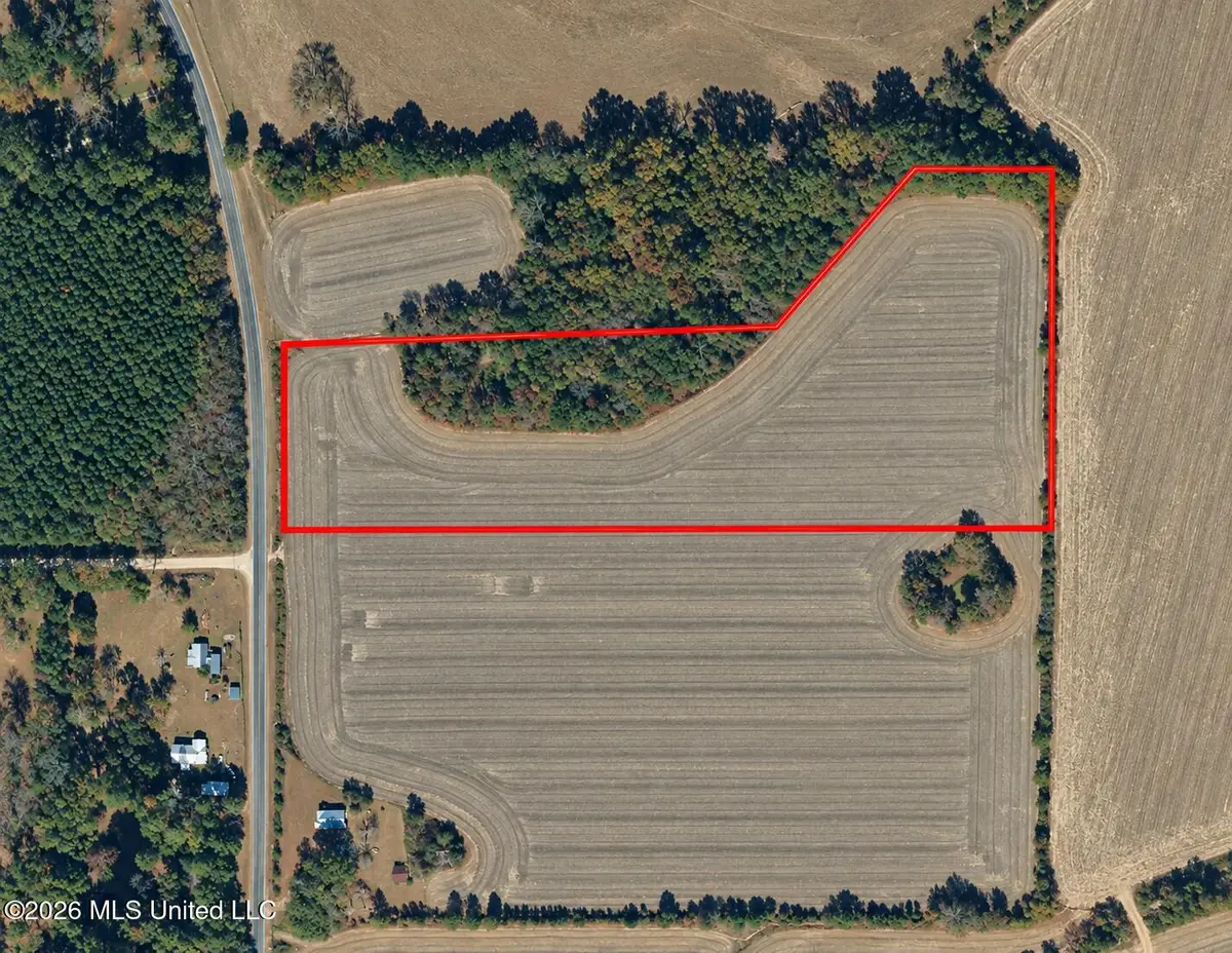 Old Hillsboro Road, Forest, MS 39074 - #1