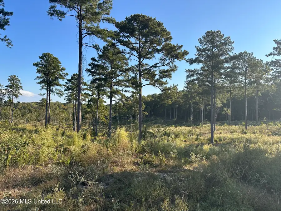 181 Berry Drive, Pearl, MS 39208 - #2