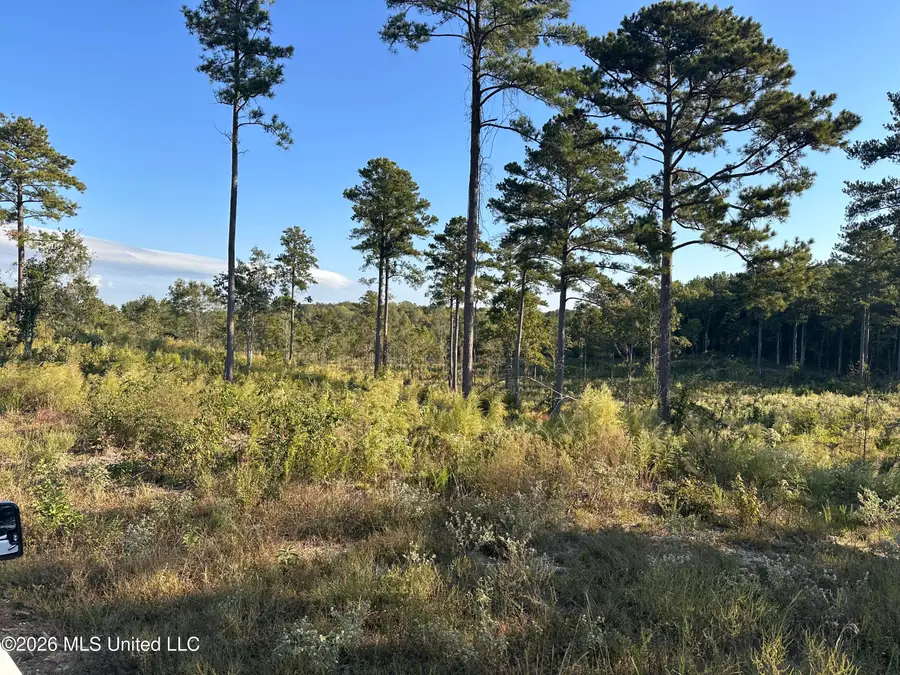 181 Berry Drive, Pearl, MS 39208 - #3
